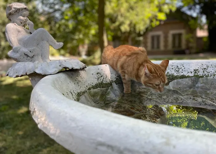 Josephine Frühstückspension Brienne-le-Chateau